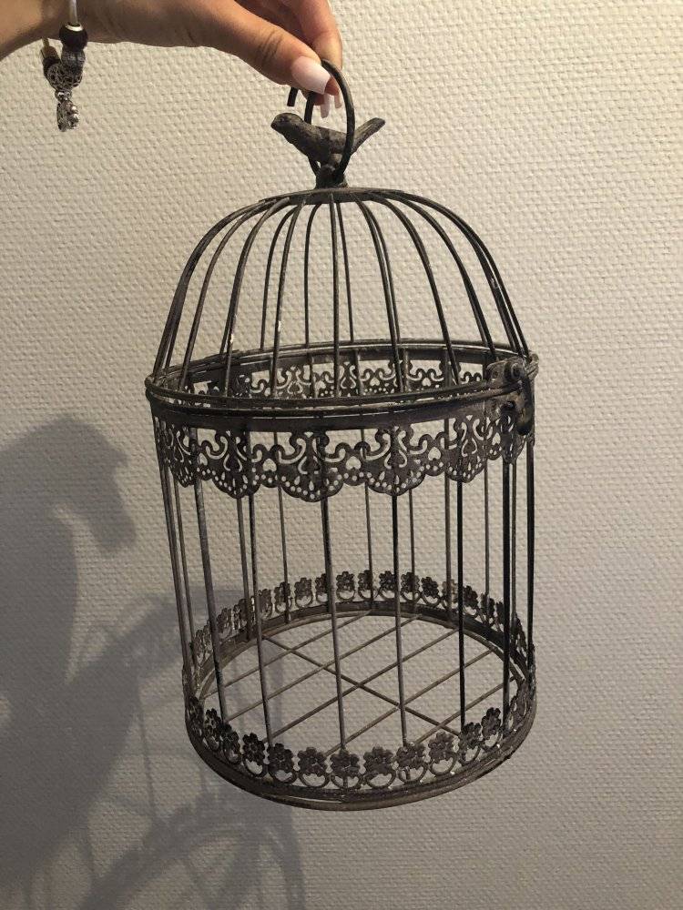 decoration